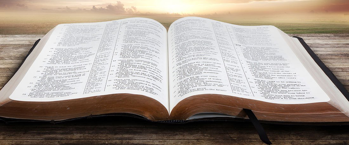 Open Bible